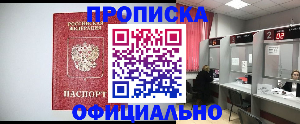 прописка 2026 в Дмитрове